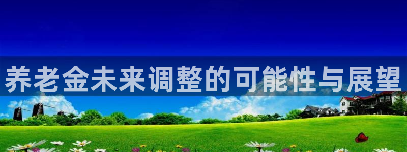万赢娱乐体育游戏：养老金未来调整的可能性与展望