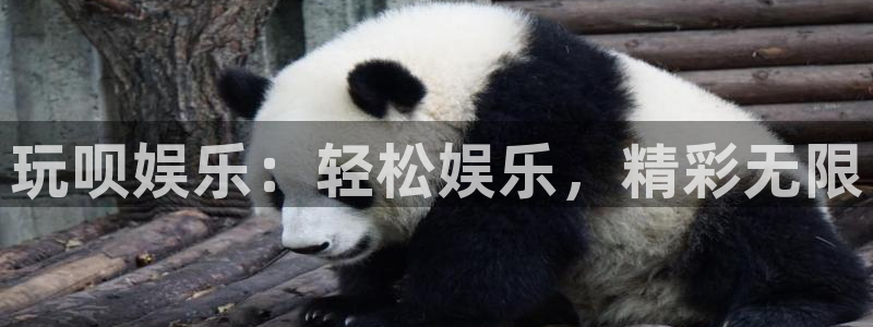 万赢娱乐体育用品：玩呗娱乐：轻松娱乐，精彩无限