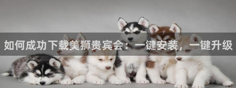 万赢娱乐登录：如何成功下载美狮贵宾会：一键安装，一键升级
