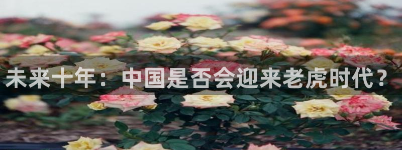 万赢娱乐平台在线注册：未来十年：中国是否会迎来老虎时代？