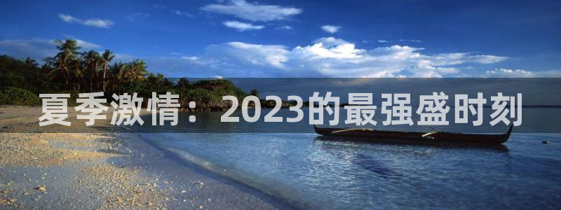 万赢娱乐2注册：夏季激情：2023的最强盛时刻