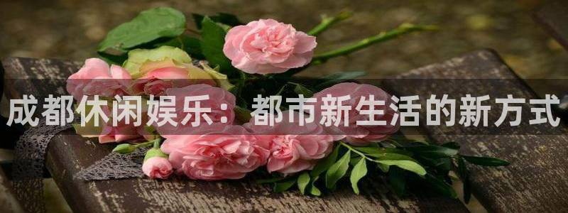 万赢娱乐能源：成都休闲娱乐：都市新生活的新方式