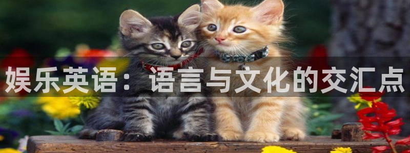 万赢娱乐体育平台开号链接：娱乐英语：语言与文化的交汇点