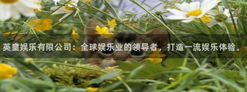 万赢娱乐体育代理：英皇娱乐有限公司：全球娱乐业的领导者，打造一流娱乐体验。
