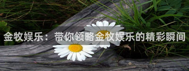 万赢娱乐5注册：金牧娱乐：带你领略金牧娱乐的精彩瞬间