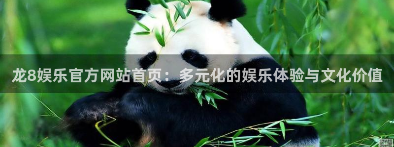万赢娱乐平台在线开户：龙8娱乐官方网站首页：多元化的娱乐体验与文化价值