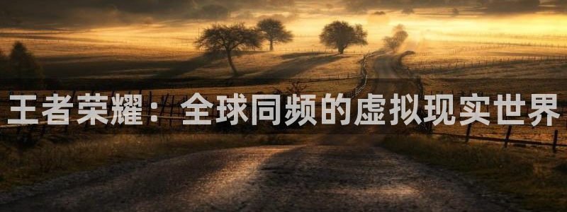 万赢娱乐体育注册代理：王者荣耀：全球同频的虚拟现实世界
